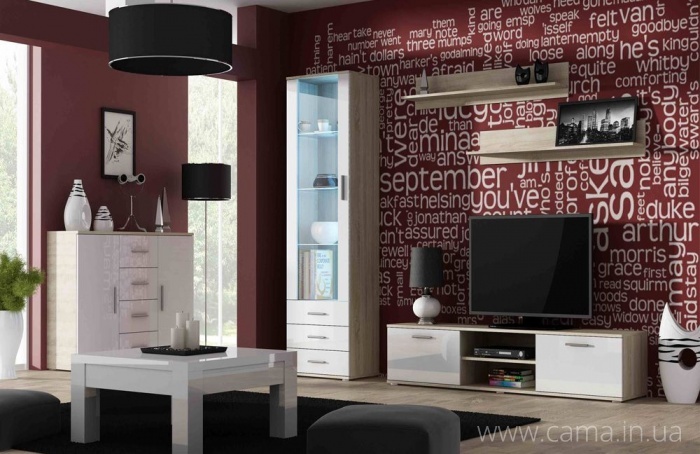 Гостиная Soho 2 дуб сонома/белый глянец